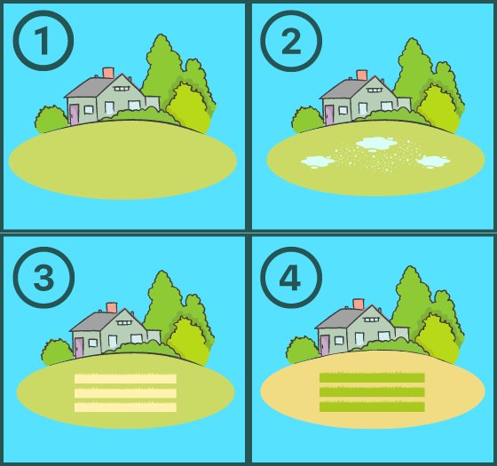 Drainfield grass diagram
