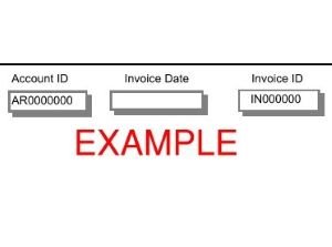 Image of a Snohomish County Health Department Invoice