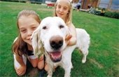 Two girls and a dog