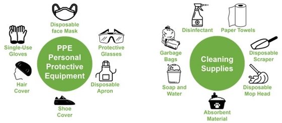 Pictures of all the things you need to clean up vomit and diarrhea