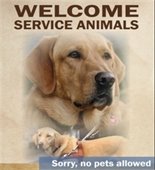 Service animal Poster