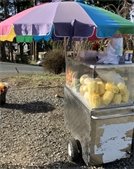 Fruit Cart