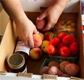 Person boxing up food donation items