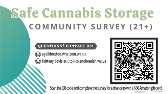 Safe Storage survey flyer
