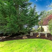 Backyard with landscaped lawn, bench, and bridge.