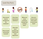 American Academy of Pediatrics lead website