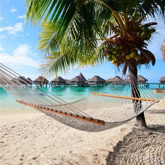 Vacation at the Beach