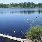 Local lake in Snohomish County