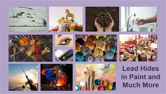 Image showing various sources of lead